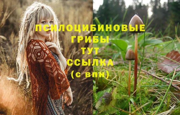герыч Арсеньев