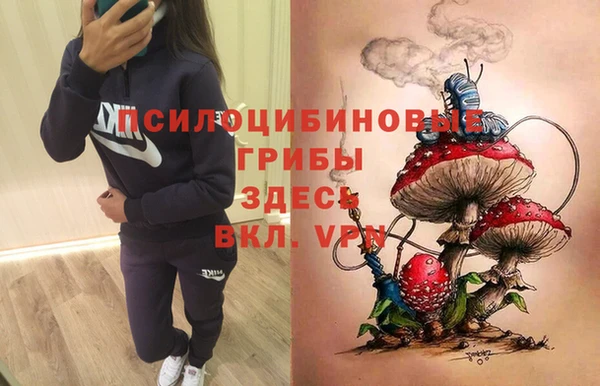 круглые Аркадак