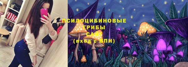 круглые Аркадак