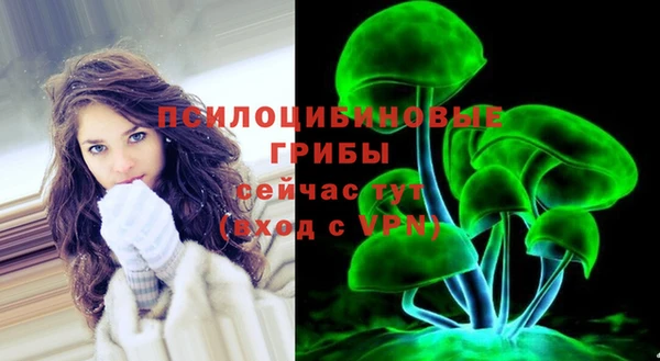 ешки Армянск