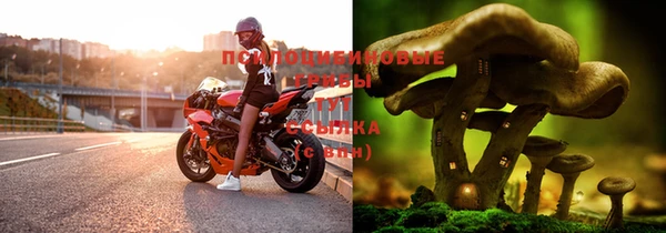 герыч Арсеньев