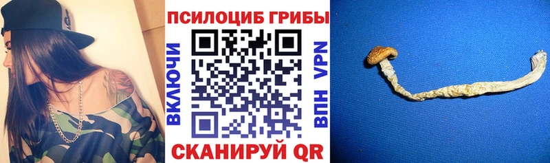где найти   ОМГ ОМГ зеркало  Галлюциногенные грибы GOLDEN TEACHER  shop состав  Палласовка 